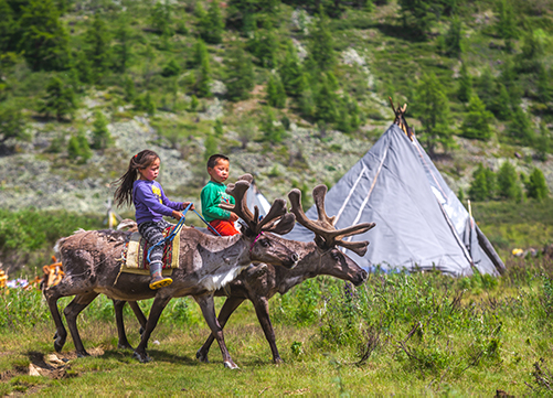 Tsaatan Reindeer Herders Tour